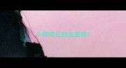 小狗常见的皮肤病