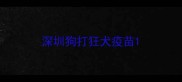深圳狗打狂犬疫苗