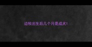 边牧出生后几个月是成犬