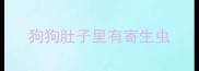 狗狗肚子里有寄生虫