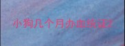 小狗几个月办血统证