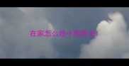 在家怎么给小狗剪毛
