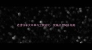 边境牧羊犬串串与土狗对比优缺点及饲养指南