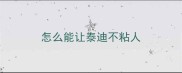 怎么能让泰迪不粘人