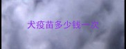 犬疫苗多少钱一次