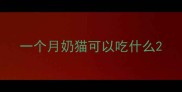 一个月奶猫可以吃什么