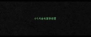 8个月金毛夏季感冒
