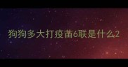 狗狗多大打疫苗6联是什么