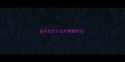 金毛幼犬什么时候换好毛