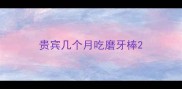 贵宾几个月吃磨牙棒