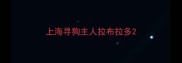 上海寻狗主人拉布拉多