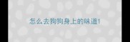 怎么去狗狗身上的味道