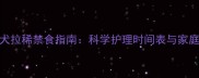 边境牧羊犬拉稀禁食指南科学护理时间表与家庭急救方案