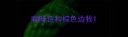 咖啡色和棕色边牧