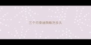 三个月泰迪狗粮泡多久
