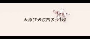 太原狂犬疫苗多少钱
