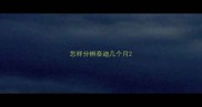 怎样分辨泰迪几个月
