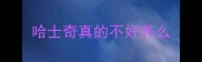 哈士奇真的不好养么