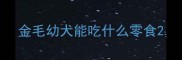 金毛幼犬能吃什么零食
