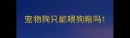 宠物狗只能喂狗粮吗