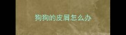 狗狗的皮屑怎么办