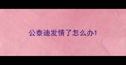 公泰迪发情了怎么办