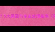 猫咪鼻头突然发黑5大原因与专业处理指南附紧急应对方案