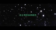 哈士奇的各种颜色