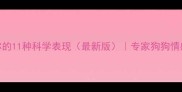 狗狗爱你的11种科学表现最新版专家狗狗情感信号全