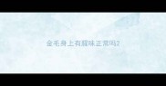 金毛身上有腥味正常吗