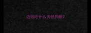 边牧吃什么天然狗粮