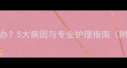猫咪便血腹泻怎么办5大病因与专业护理指南附便血颜色鉴别表