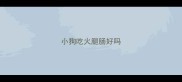 小狗吃火腿肠好吗