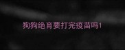 狗狗绝育要打完疫苗吗