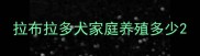 拉布拉多犬家庭养殖多少