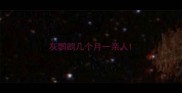 灰鹦鹉几个月一亲人