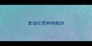 泰迪吃那种狗粮好