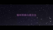 猫咪眼睛白膜流血