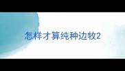 怎样才算纯种边牧