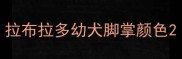 拉布拉多幼犬脚掌颜色
