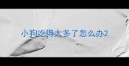 小狗吃得太多了怎么办