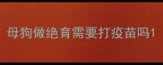 母狗做绝育需要打疫苗吗
