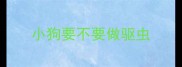 小狗要不要做驱虫