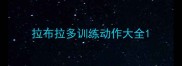 拉布拉多训练动作大全