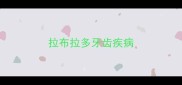 拉布拉多牙齿疾病