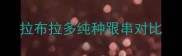 拉布拉多纯种跟串对比