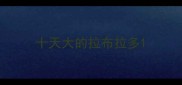 十天大的拉布拉多