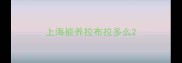 上海能养拉布拉多么