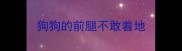 狗狗的前腿不敢着地