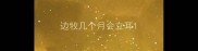边牧几个月会立耳